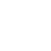 Phone_ICON_w